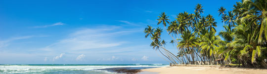 Croisière à la cabine - Sri Lanka sud