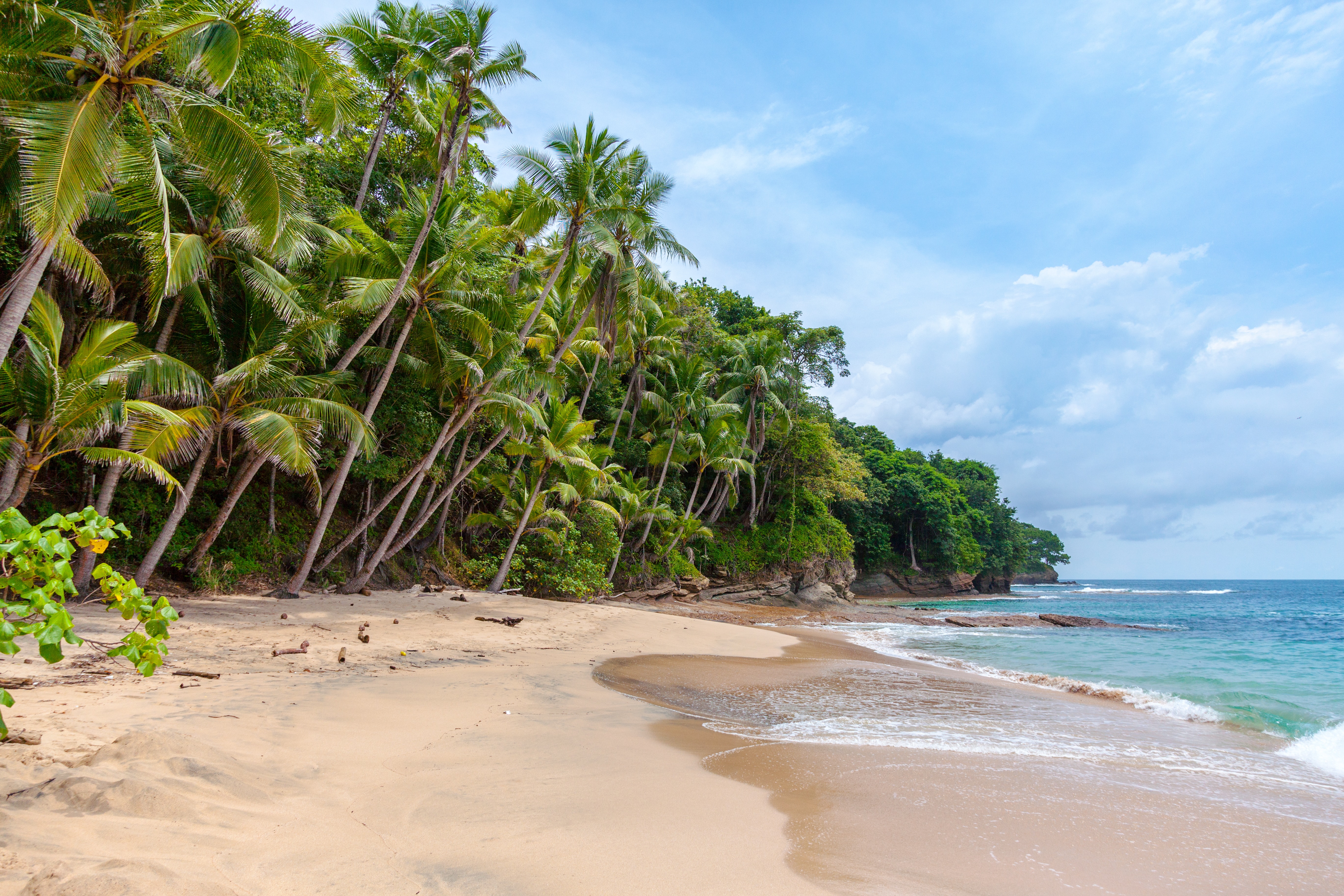Croisière à la cabine - Sri Lanka